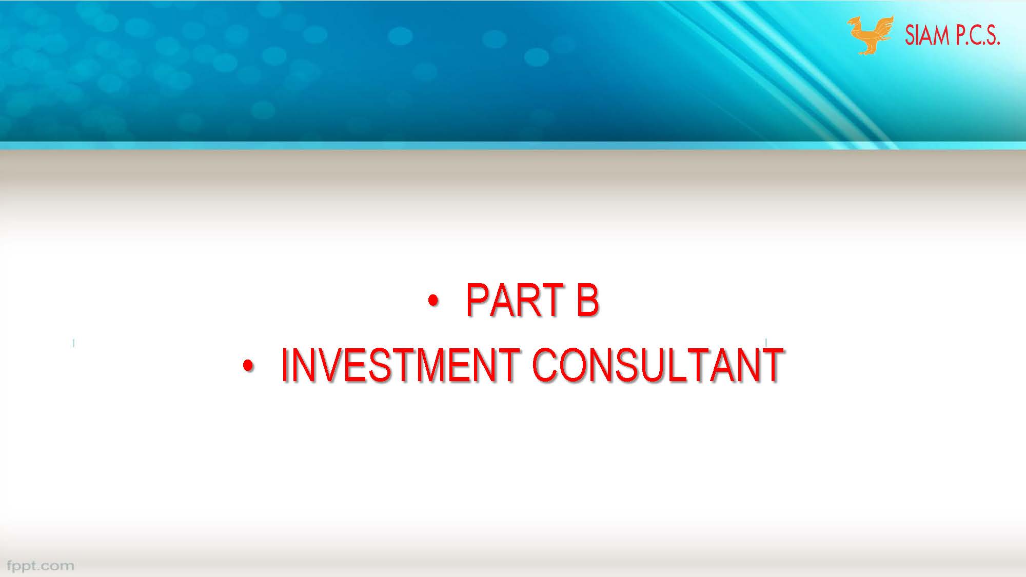 SINGAPORE PROJECT_Page_13.jpg