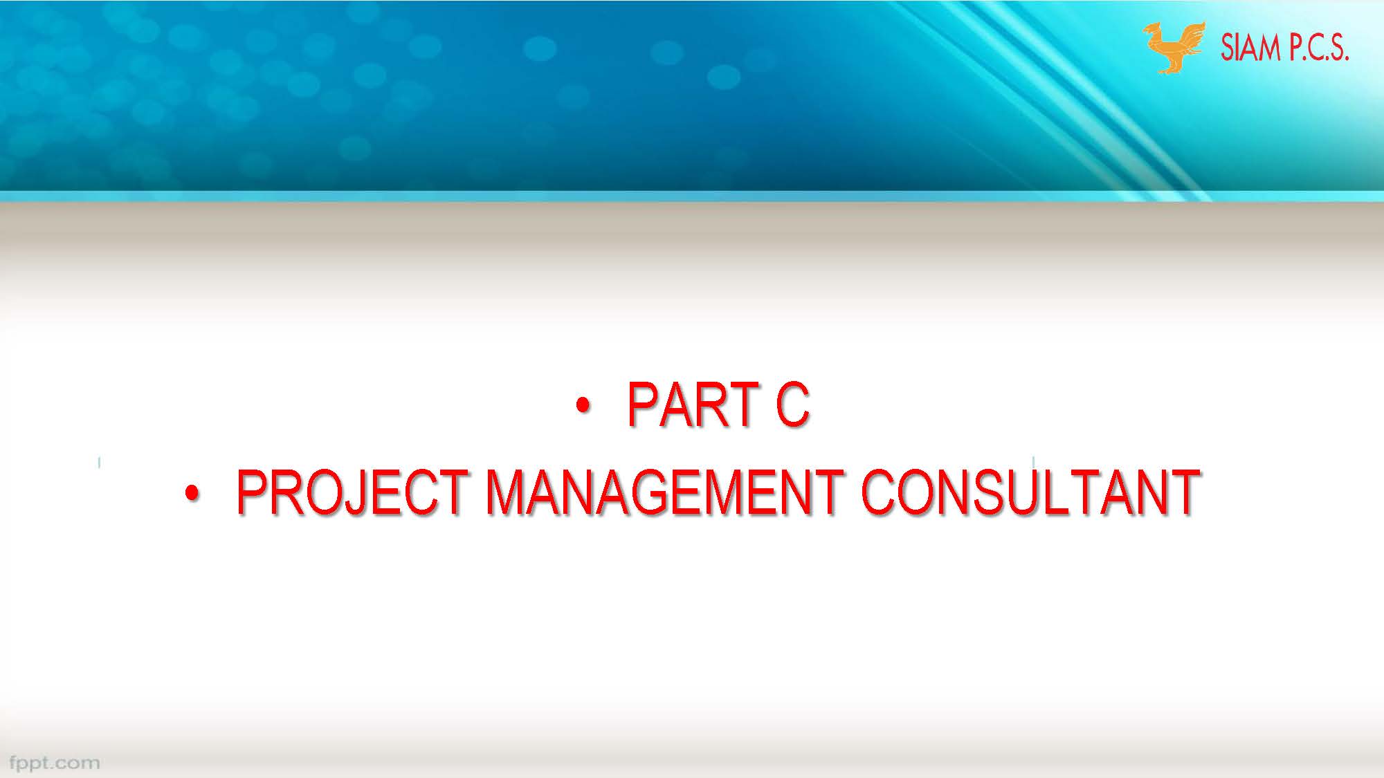 SINGAPORE PROJECT_Page_15.jpg